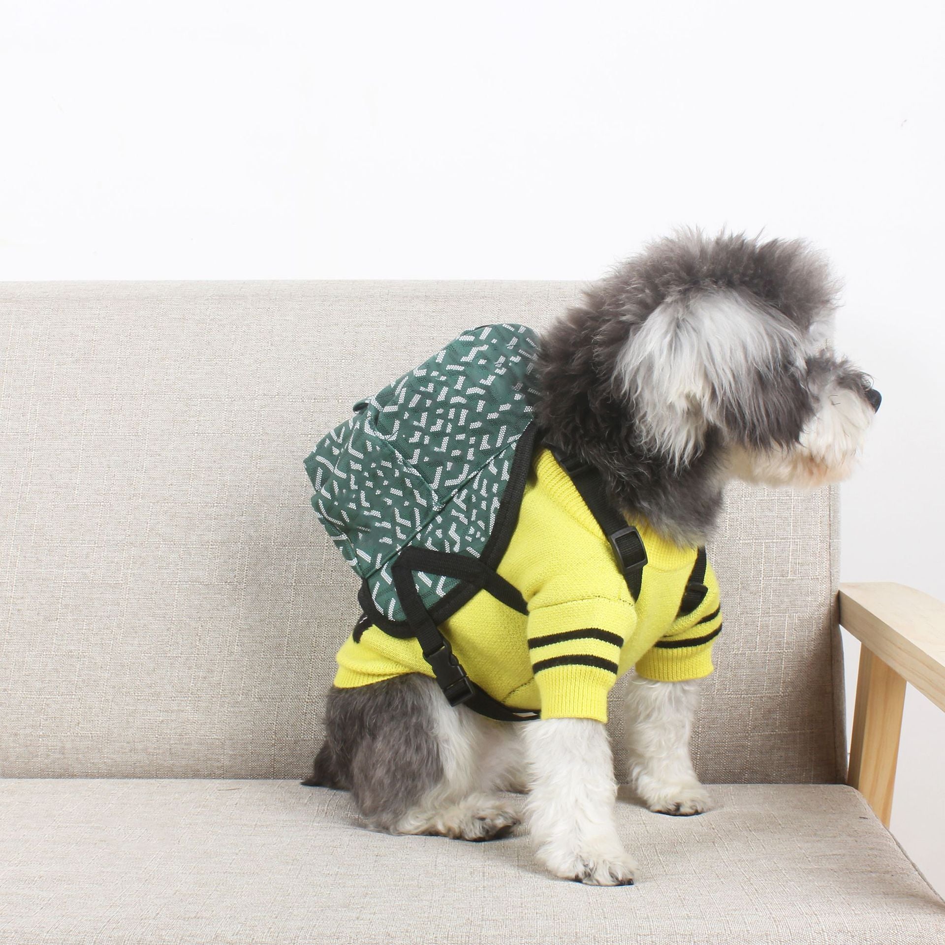 Explore the Trendy Dog Backpack for Small to Medium Dogs - Noble Snouts